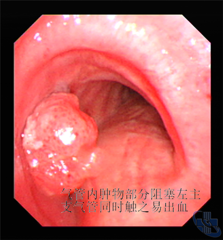 image003.png