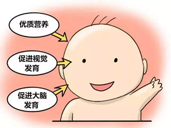 未标题-2.jpg 未标题-2.jpg