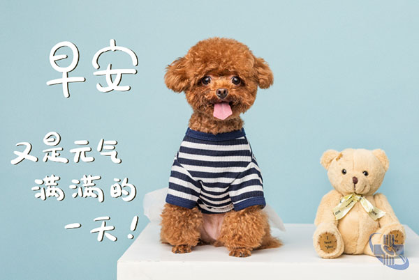 图片8.jpg