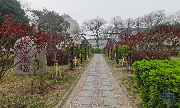 图片7.jpg