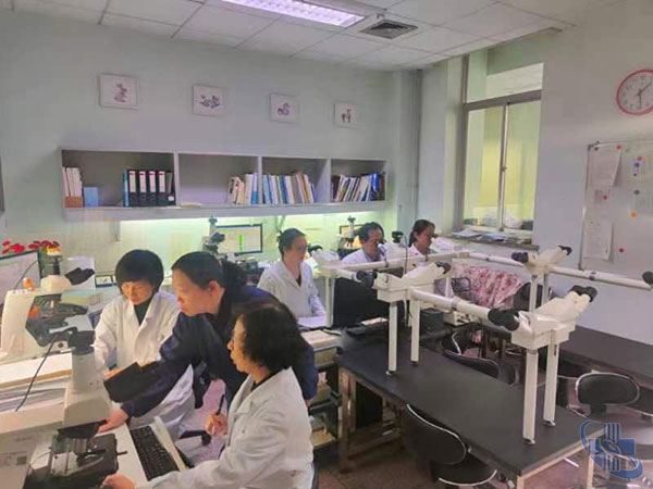 图片8.jpg
