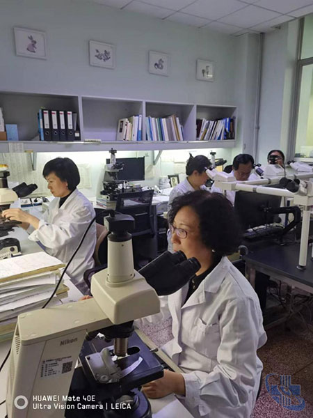 图片9.jpg