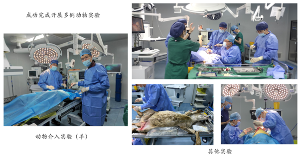 image021.png