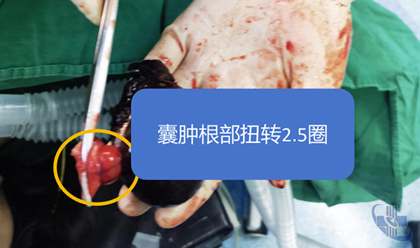 图片4.jpg
