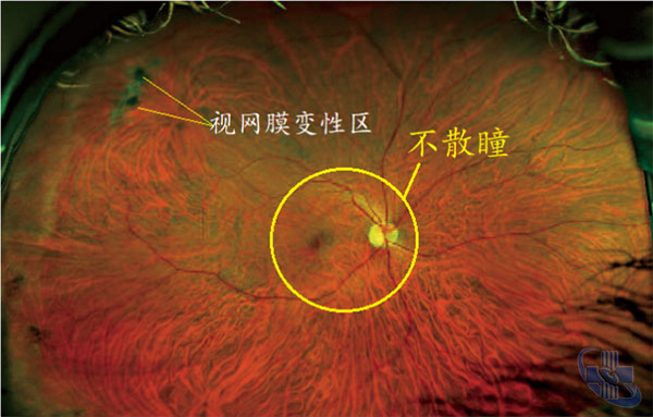 图片3.jpg 图片3.jpg