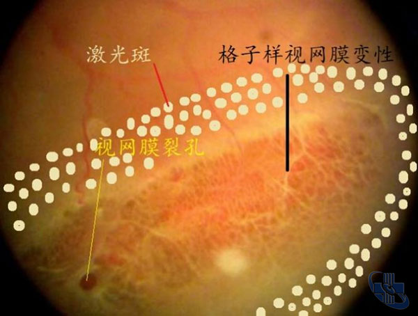 图片4.jpg 图片4.jpg