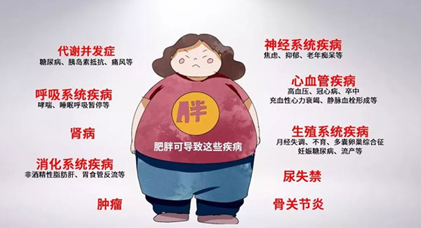 图片48.jpg