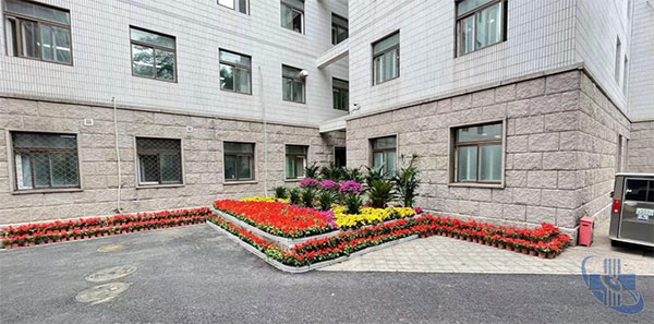 02-2.jpg
